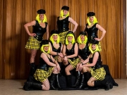 elfinnen_2_2013