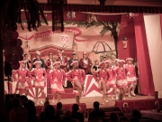 Männerballett 60. Saison